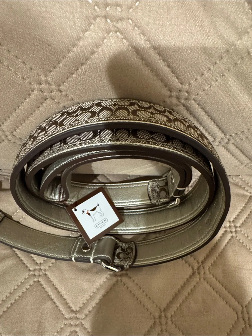 Coach genuine leather